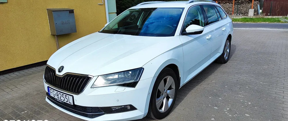 lubuskie Skoda Superb cena 75000 przebieg: 161805, rok produkcji 2017 z Woźniki